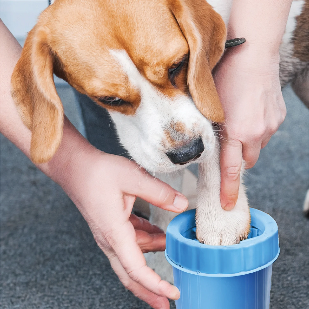 Pet Paw Cleaner